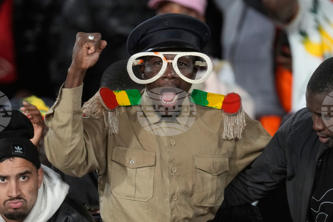 Мали се класира за четвъртфиналите в турнира за купата на африканските нации