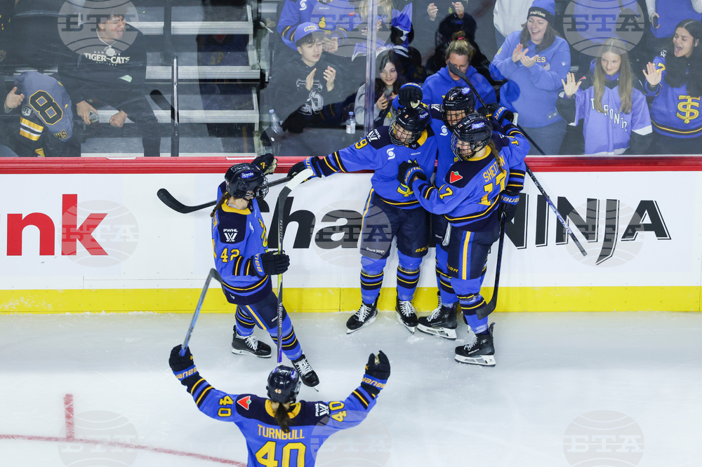 Torrent Sceptres Hockey