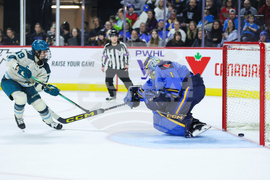 Torrent Sceptres Hockey