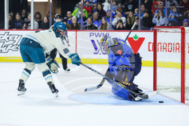 Torrent Sceptres Hockey