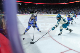 Torrent Sceptres Hockey