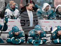 Lightning Sharks Hockey