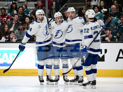 Lightning Sharks Hockey