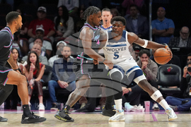 Timberwolves Heat Basketball