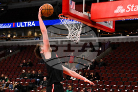 Rockets Bulls Basketball