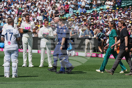 Australia England Cricket