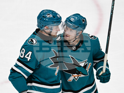 Lightning Sharks Hockey