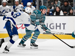 Lightning Sharks Hockey