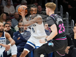 Timberwolves Heat Basketball