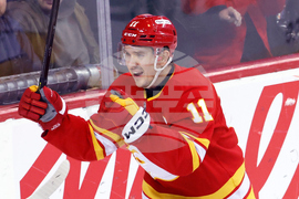 Predators Flames Hockey