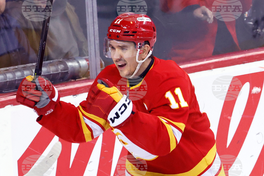 Predators Flames Hockey