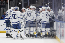 Maple Leafs Islanders Hockey