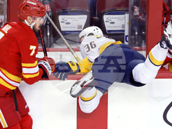 Predators Flames Hockey