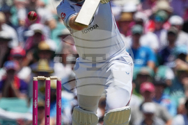 Australia England Cricket