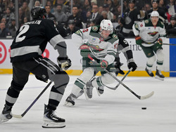 Wild Kings Hockey