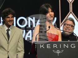 37th Palm Springs International Film Festival Film Awards - Show