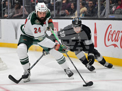 Wild Kings Hockey