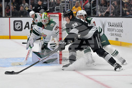 Wild Kings Hockey