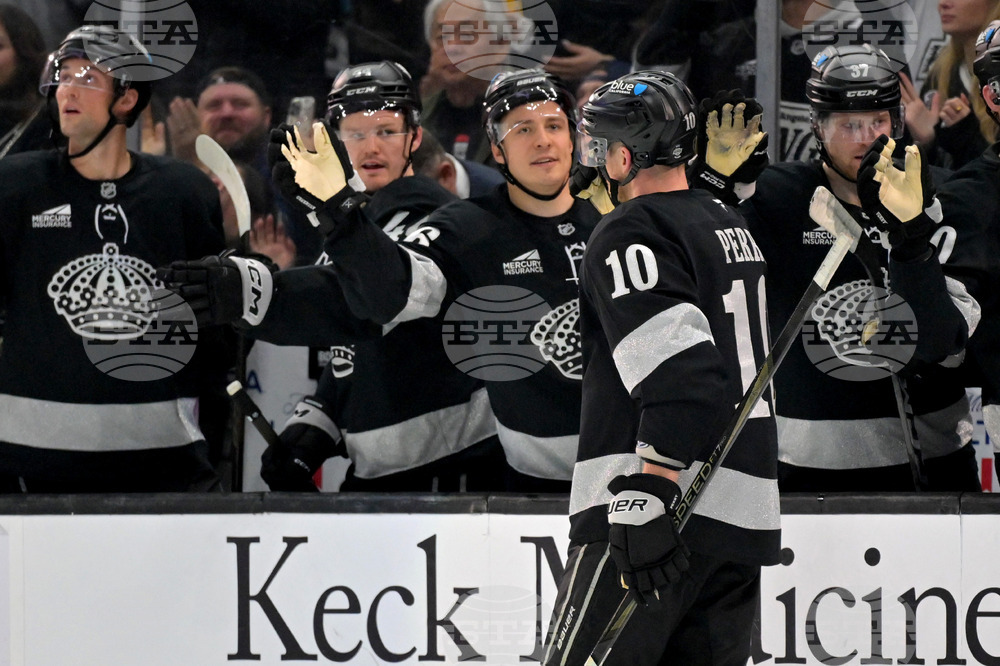 Wild Kings Hockey