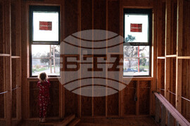 Los Angeles Wildfires Sunflowers