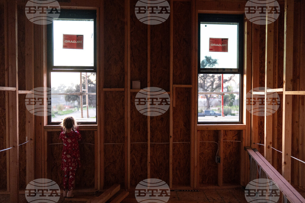 Los Angeles Wildfires Sunflowers