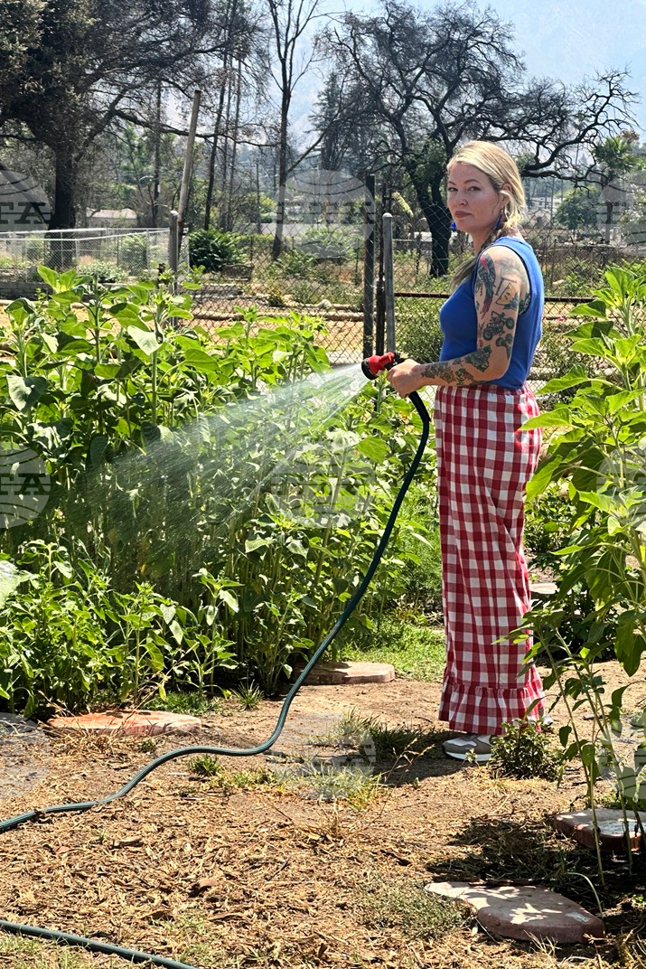 Los Angeles Wildfires Sunflowers