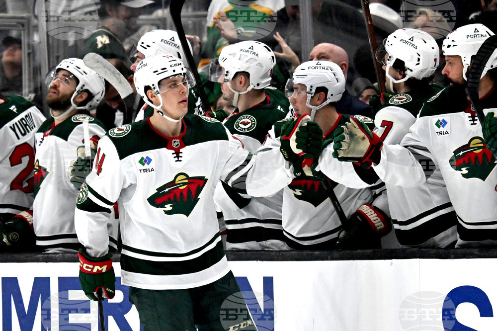 Wild Kings Hockey