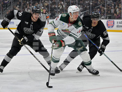 Wild Kings Hockey