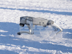 China Ice and Snow Festival