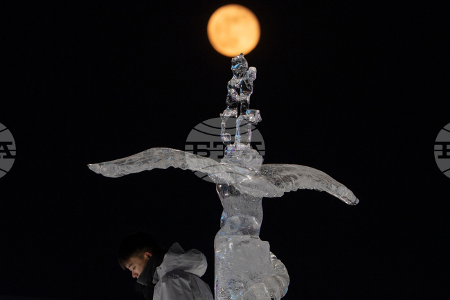 China Wolf Supermoon
