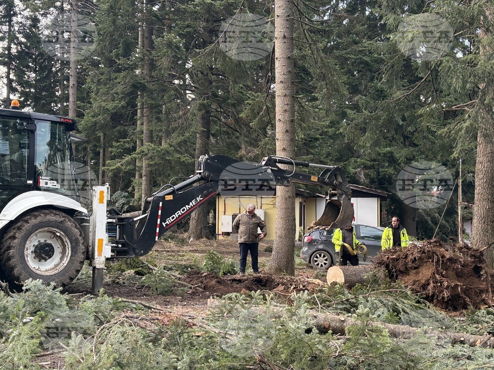 Курортен комплекс "Боровец" - ураганен вятър - щети