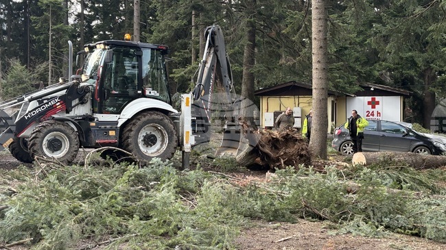 Паднали дървета в Боровец са нанесли щети върху три автомобила, туристи са извозени от последната лифт станция до курорта, каза Николай Стойнов 