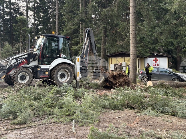 Fallen Trees Damage Three Cars in Borovets