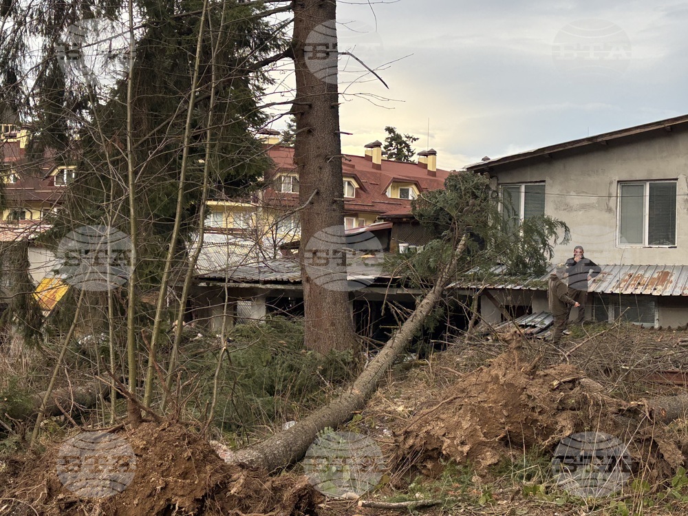 Курортен комплекс "Боровец" - ураганен вятър - щети