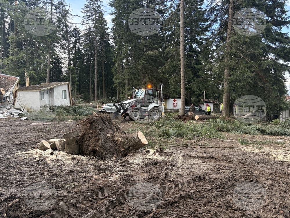 Курортен комплекс "Боровец" - ураганен вятър - щети