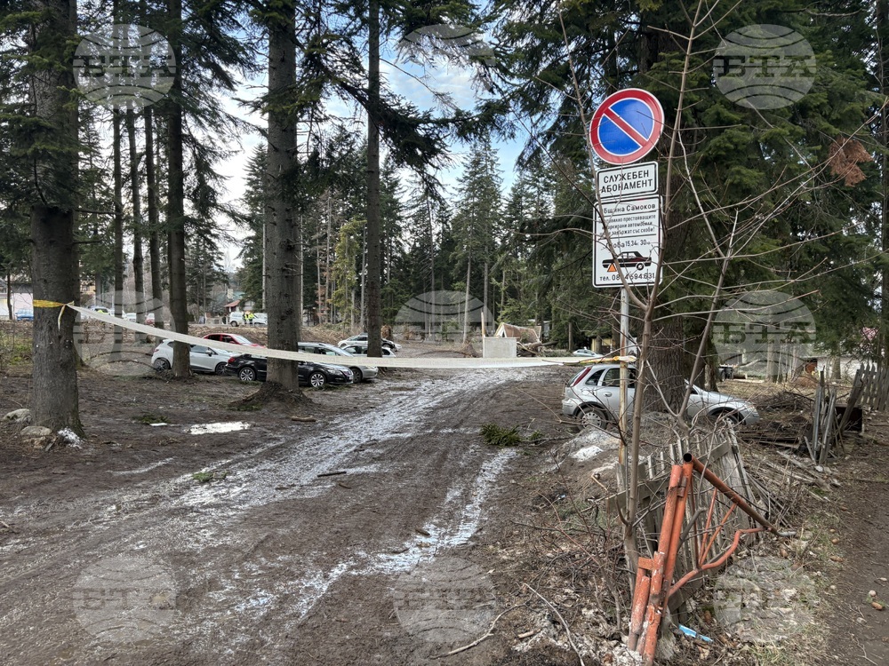 Заради силния вятър в община Самоков бе активирана системата BG Alert, а полети на летище „Васил Левски" бяха пренасочени и отменени 