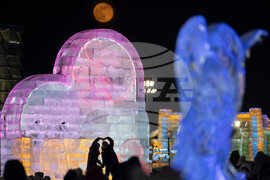 China Wolf Supermoon