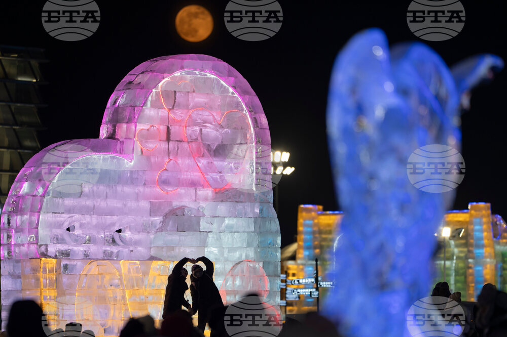 China Wolf Supermoon