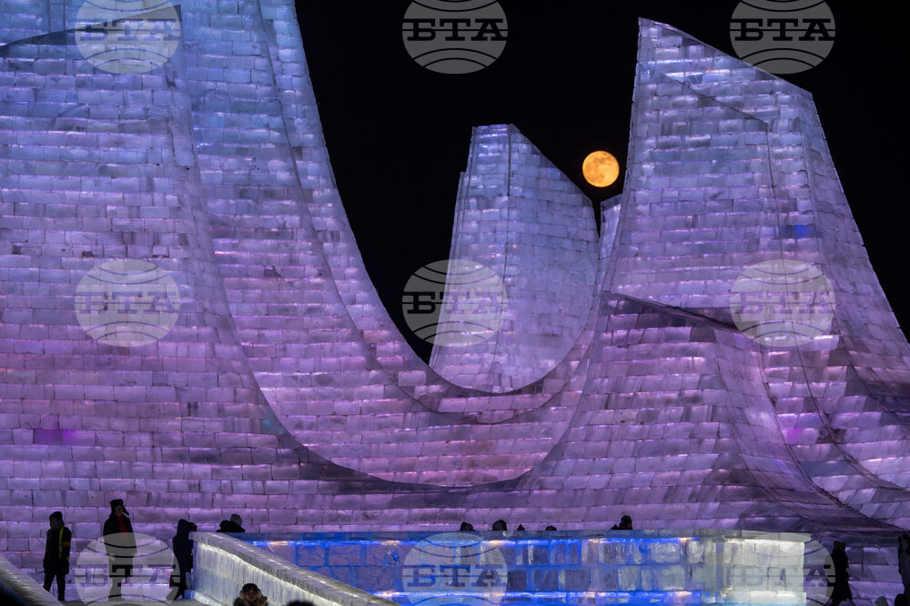 APTOPIX China Wolf Supermoon