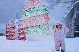 Сърбия - Белград - зима