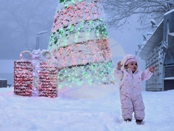 Сърбия - Белград - зима