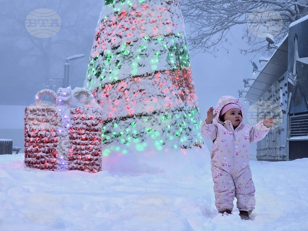 Сърбия - Белград - зима