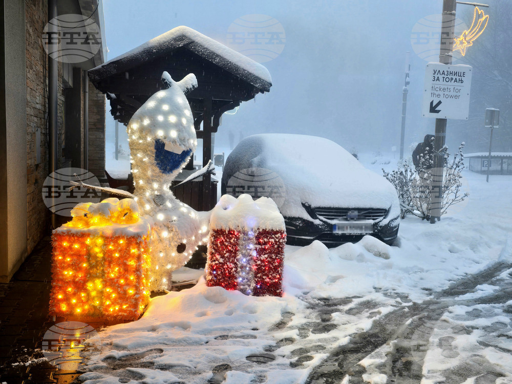 Сърбия - Белград - зима