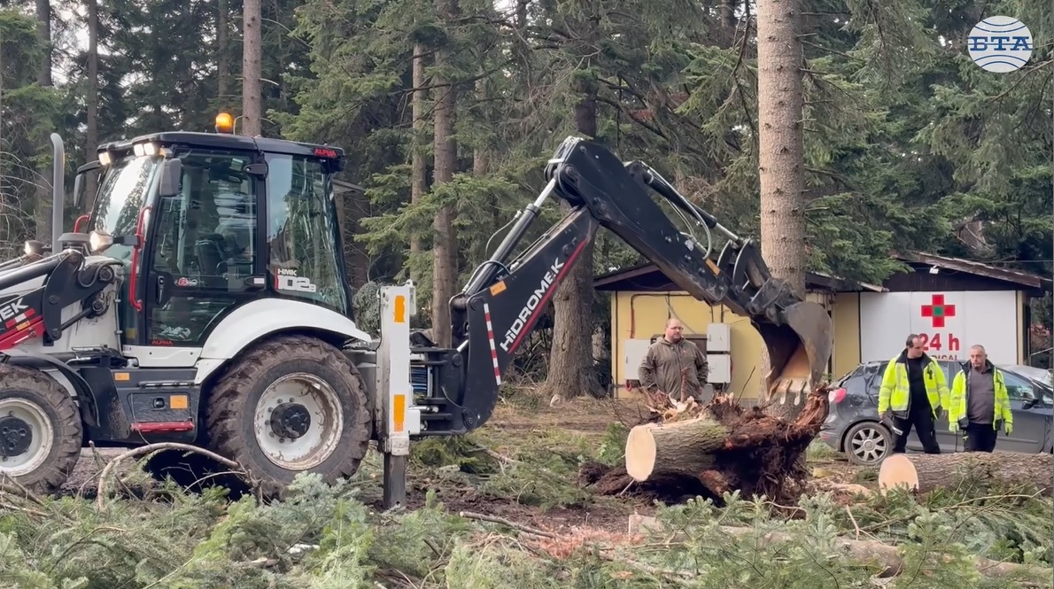 В община Самоков бе активирана системата BG Alert, силният вятър събори множество дървета в Боровец