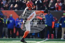 Browns Bengals Football