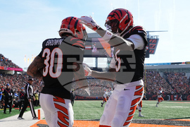 Browns Bengals Football