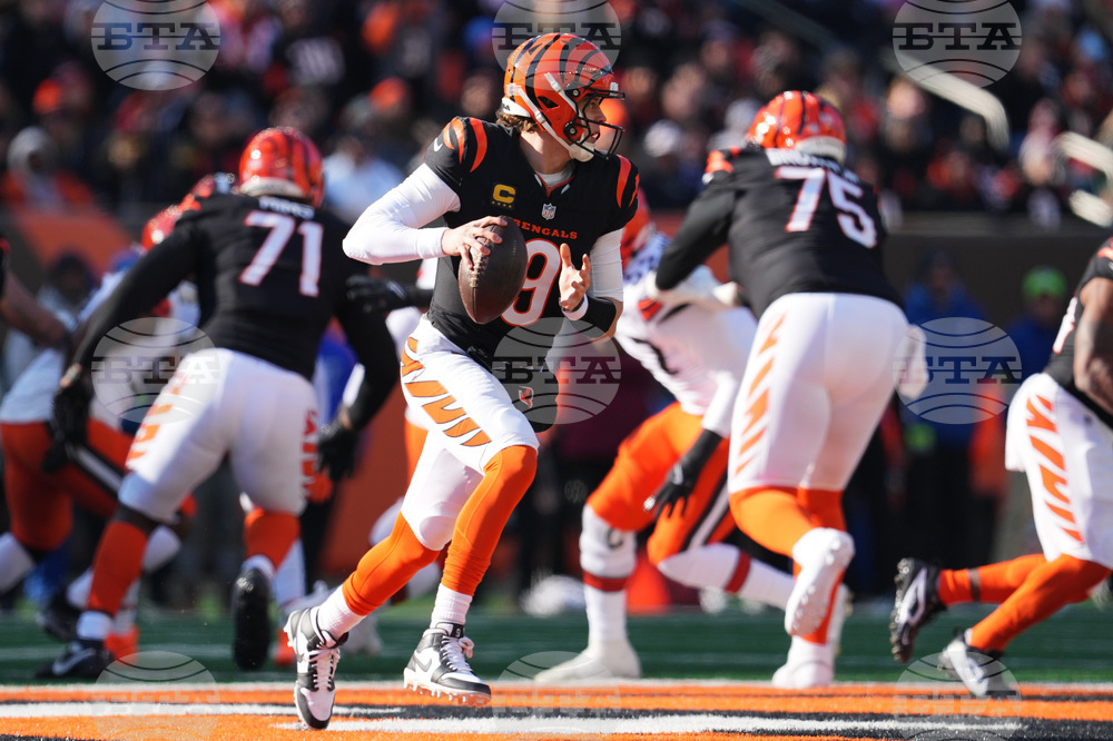 Browns Bengals Football