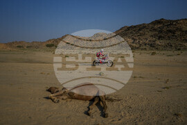 APTOPIX Saudi Arabia Dakar Rally