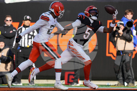APTOPIX Browns Bengals Football