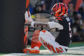 Browns Bengals Football
